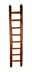 Dura Perch Ladder